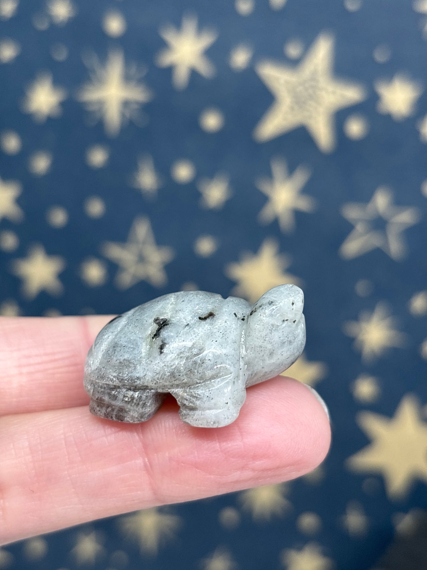 Labradorite Mini Turtle