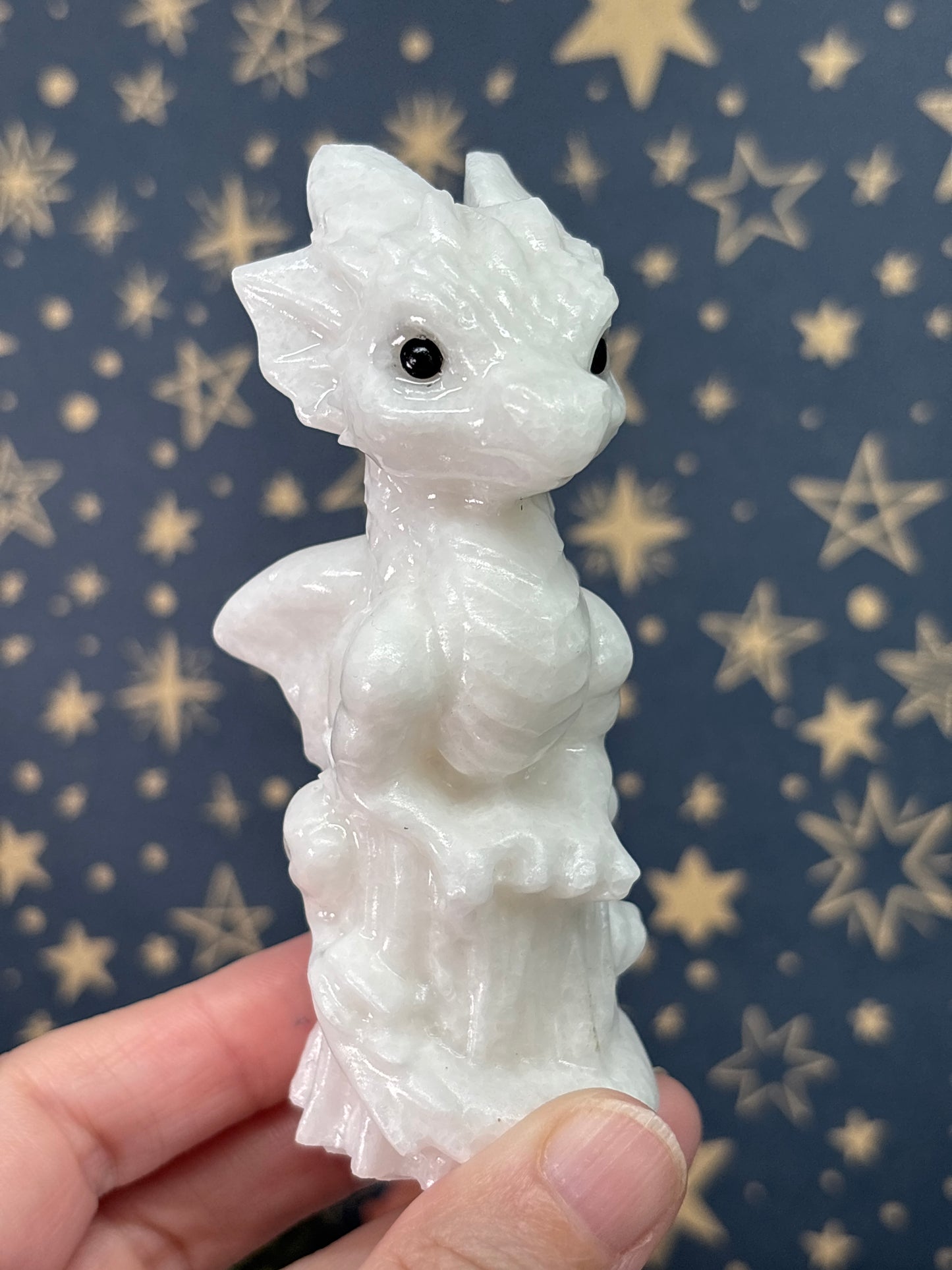 Large Baby Dragons (Pick your own)
