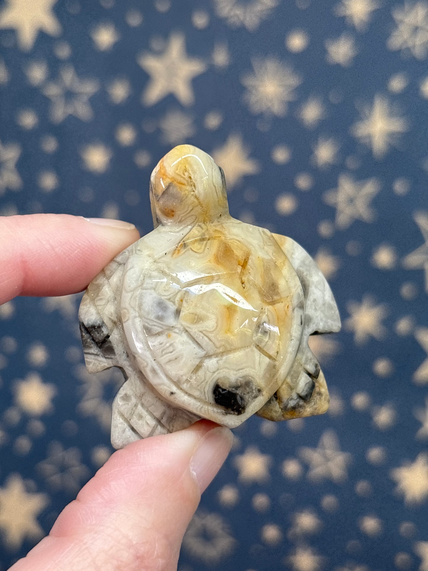 Turtles (Pick your own)