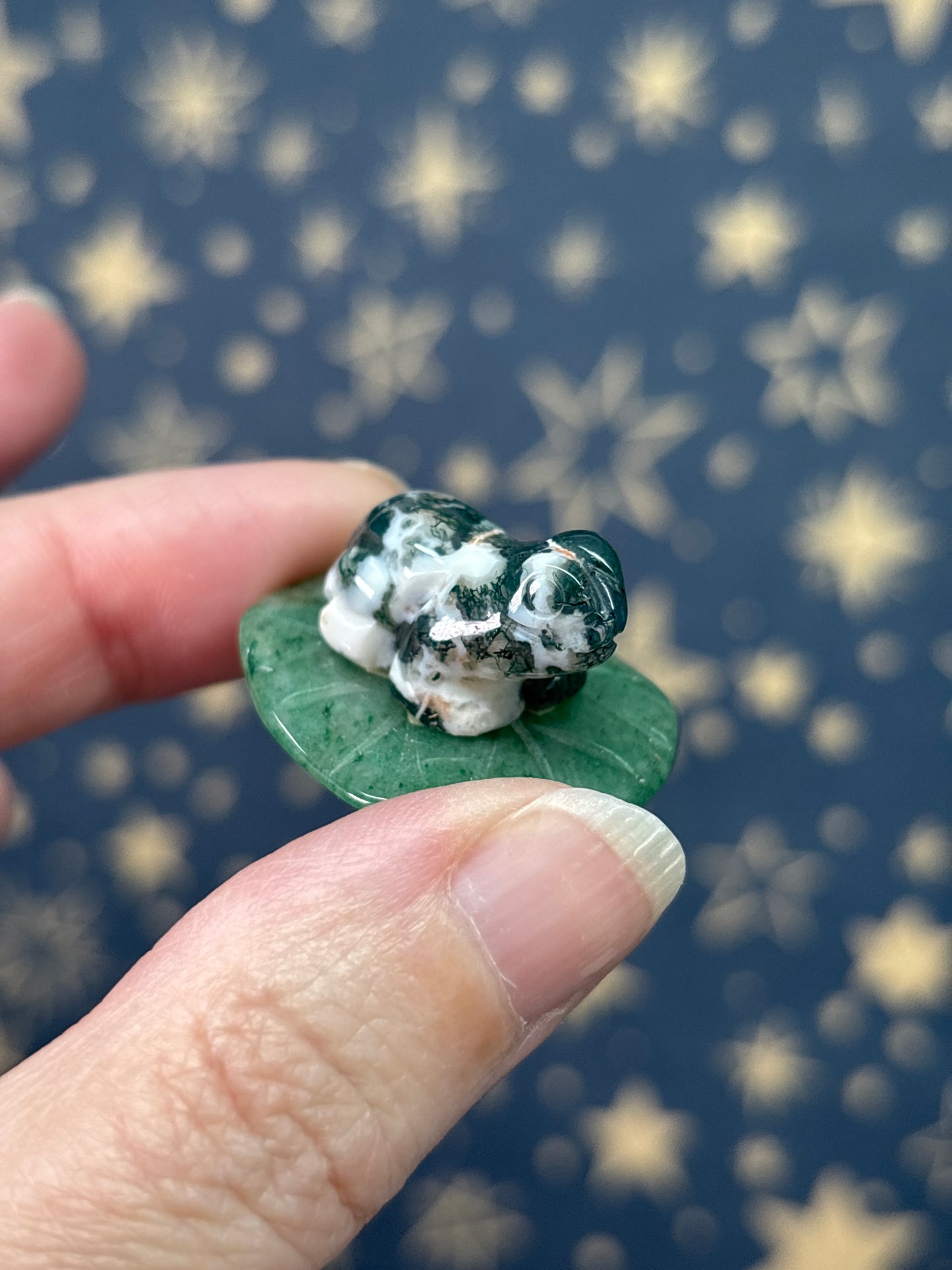 Lily Pad Buddies