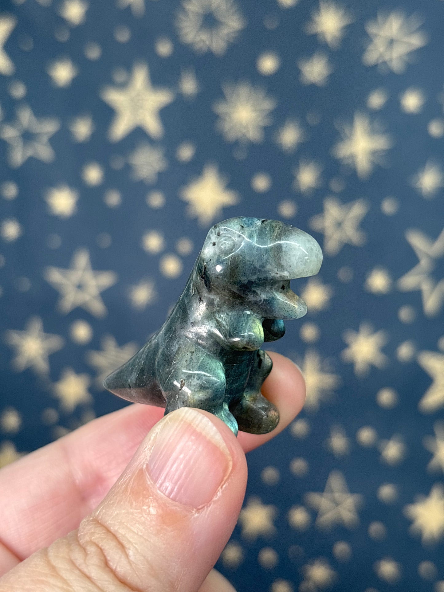 Small Dinosaurs (picked at random)
