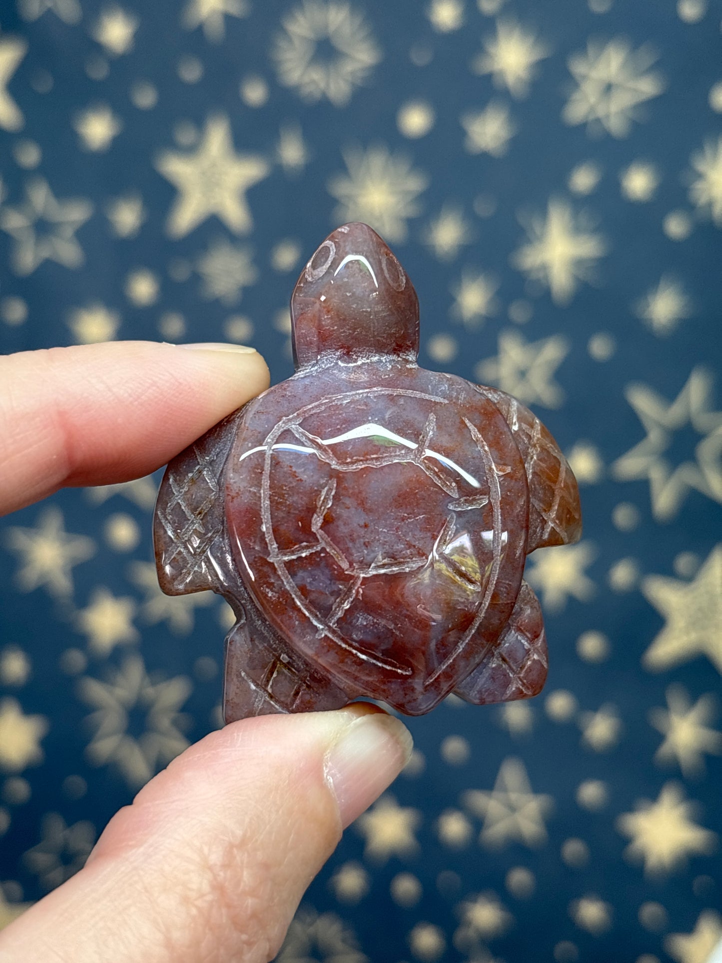 Turtles (Pick your own)