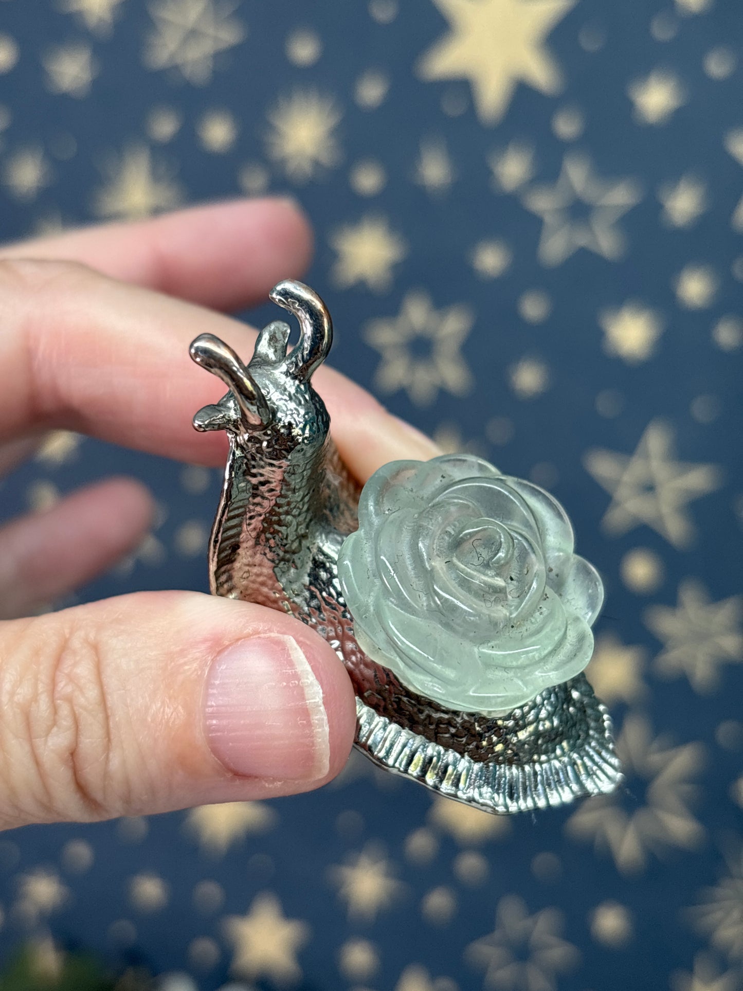 Flourite Flower Snails (Picked at random)