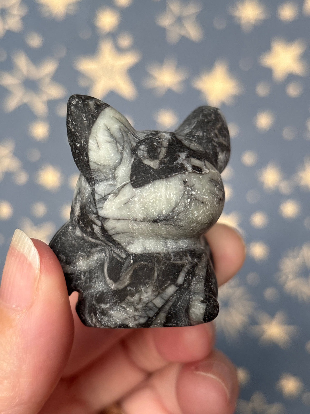 Shell Jasper Bat