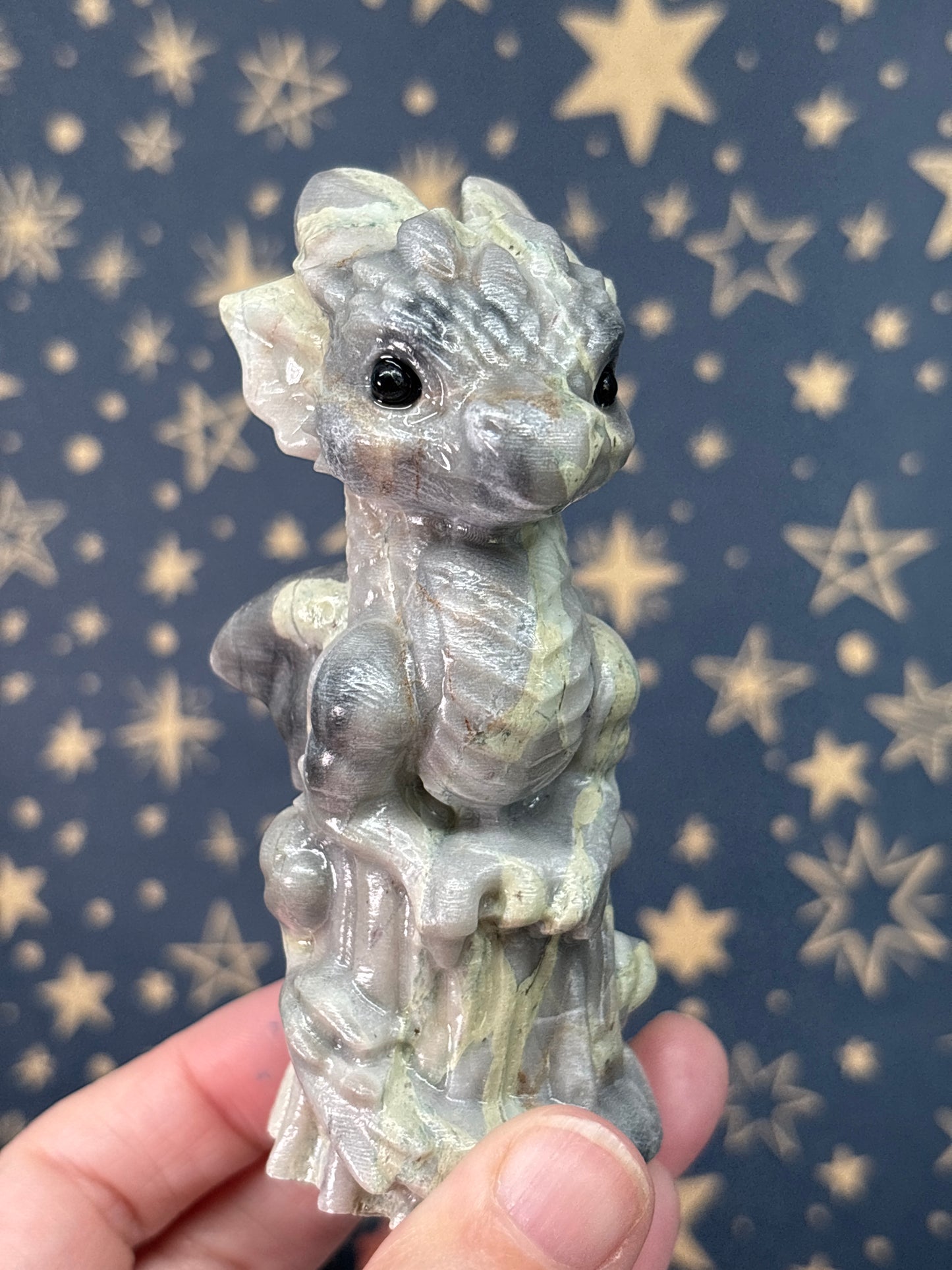 Large Baby Dragons (Pick your own)