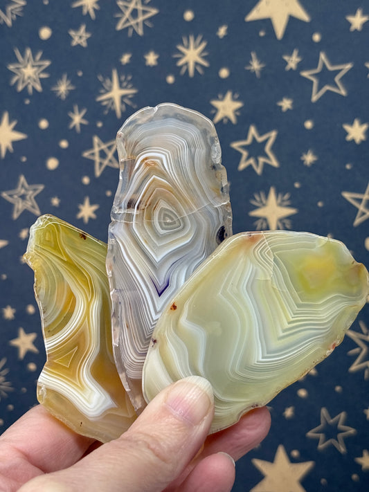 Various Agate Slices (Pick your own)