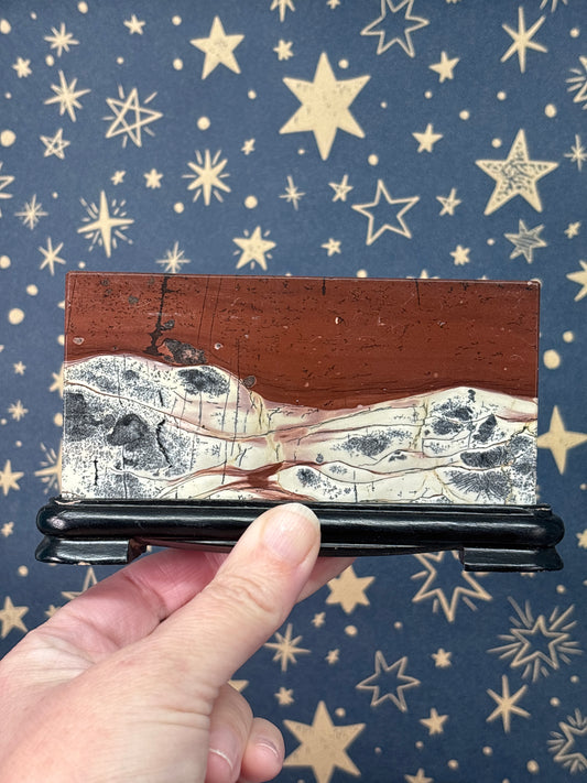 Picture Jasper Slab on Wooden Stand