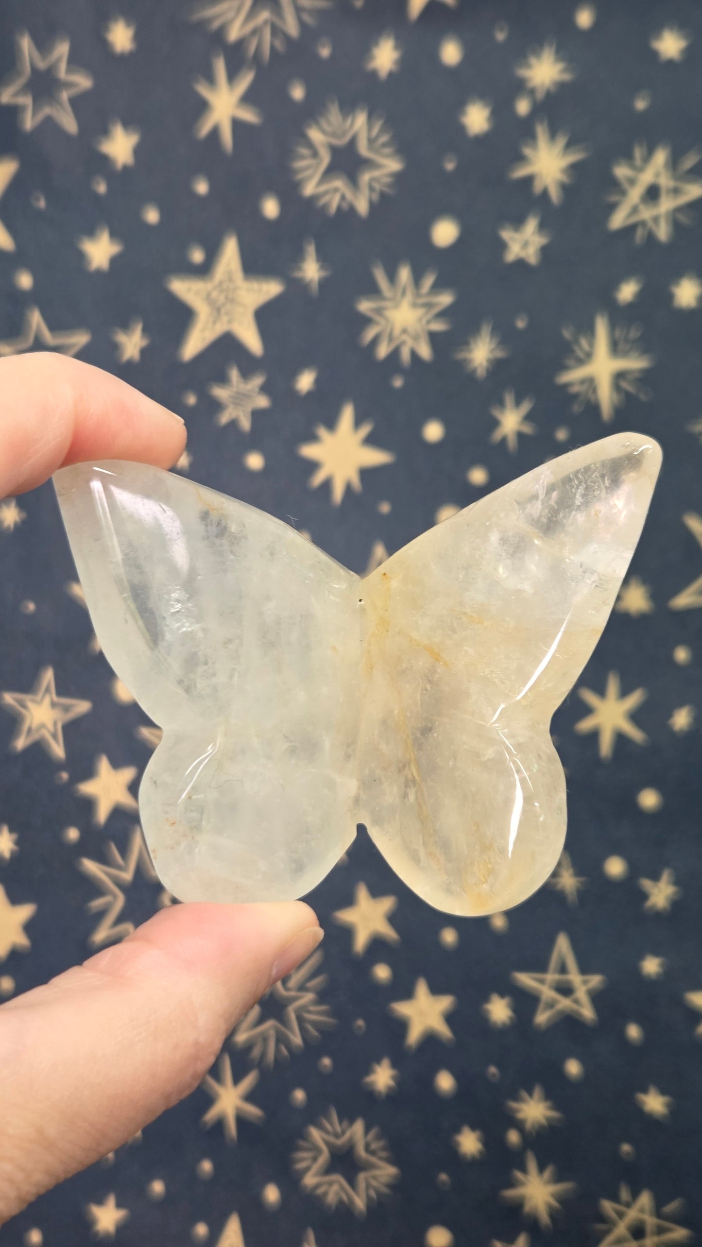 3d Butterflies (Pick your own)