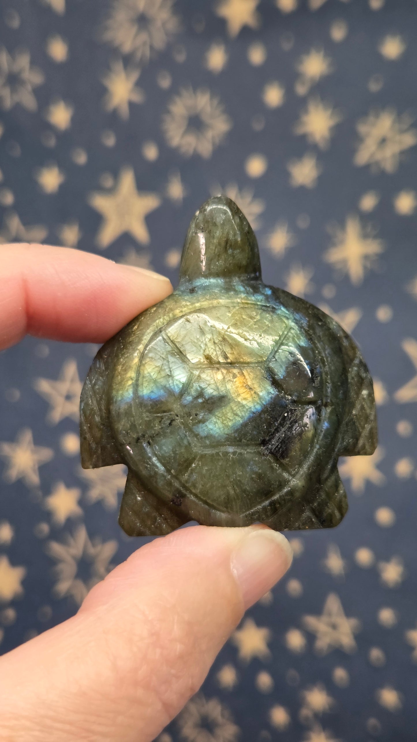 Turtles (Pick your own)