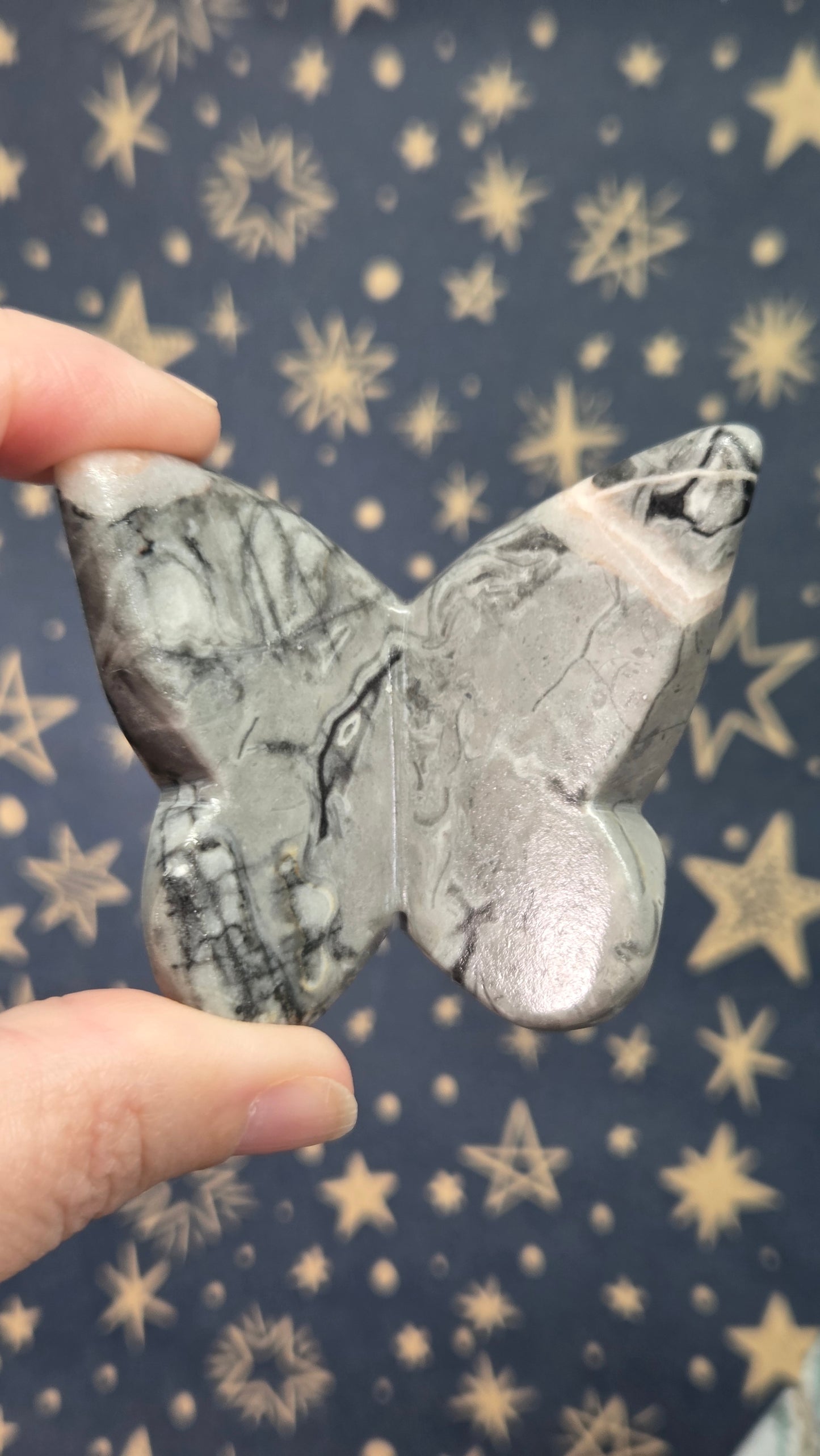 3d Butterflies (Pick your own)