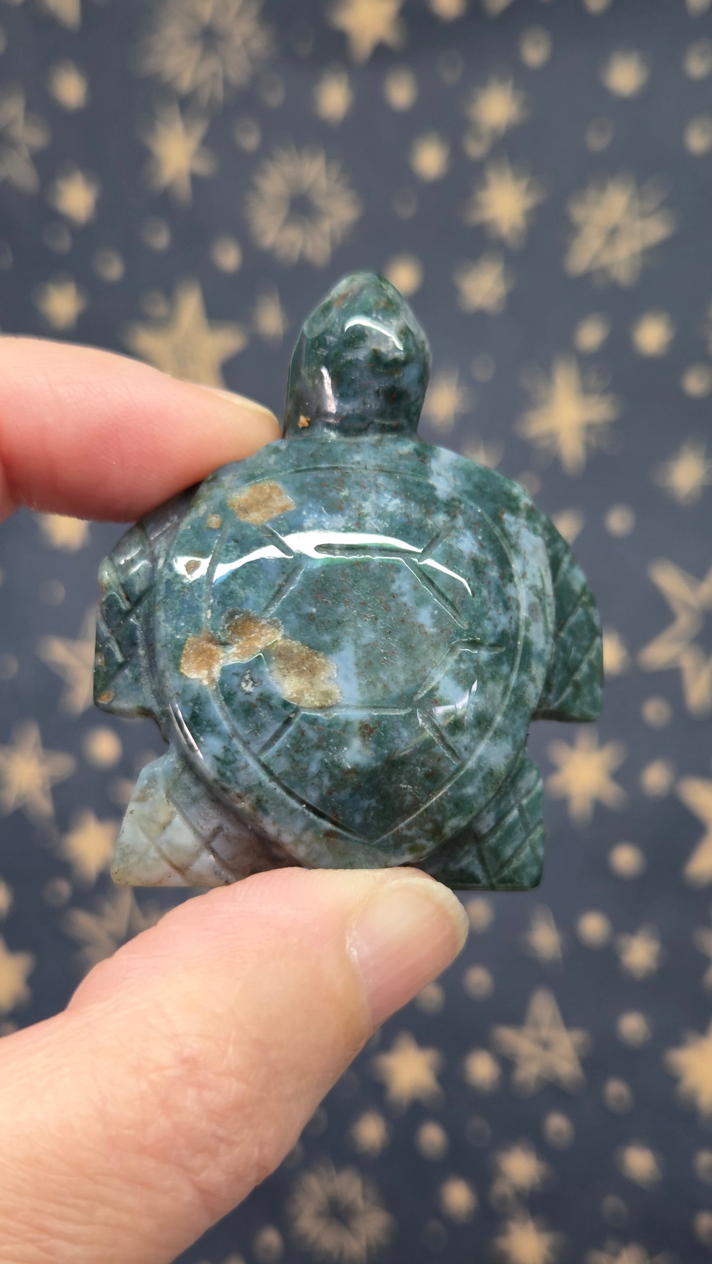 Turtles (Pick your own)