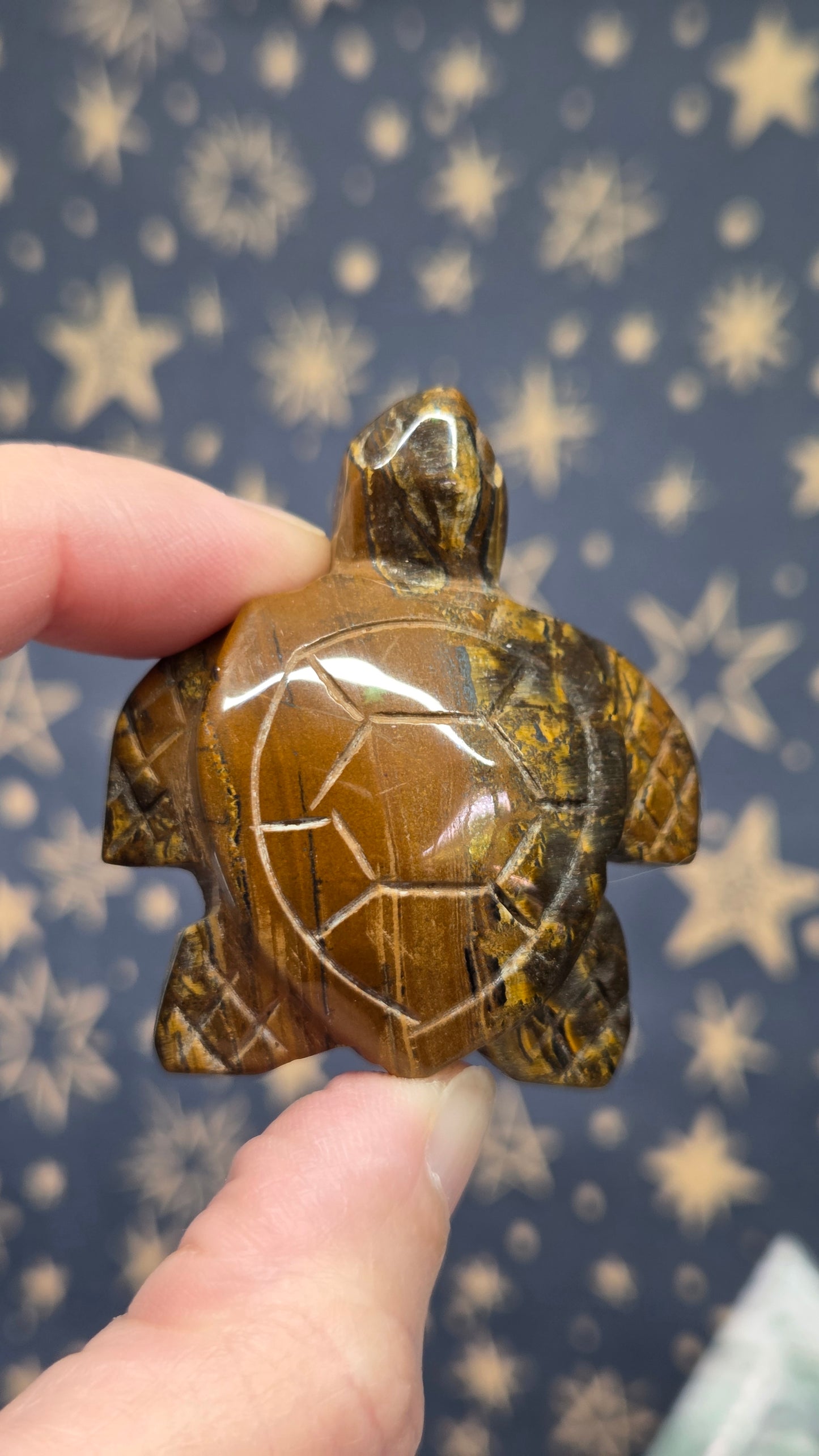 Turtles (Pick your own)