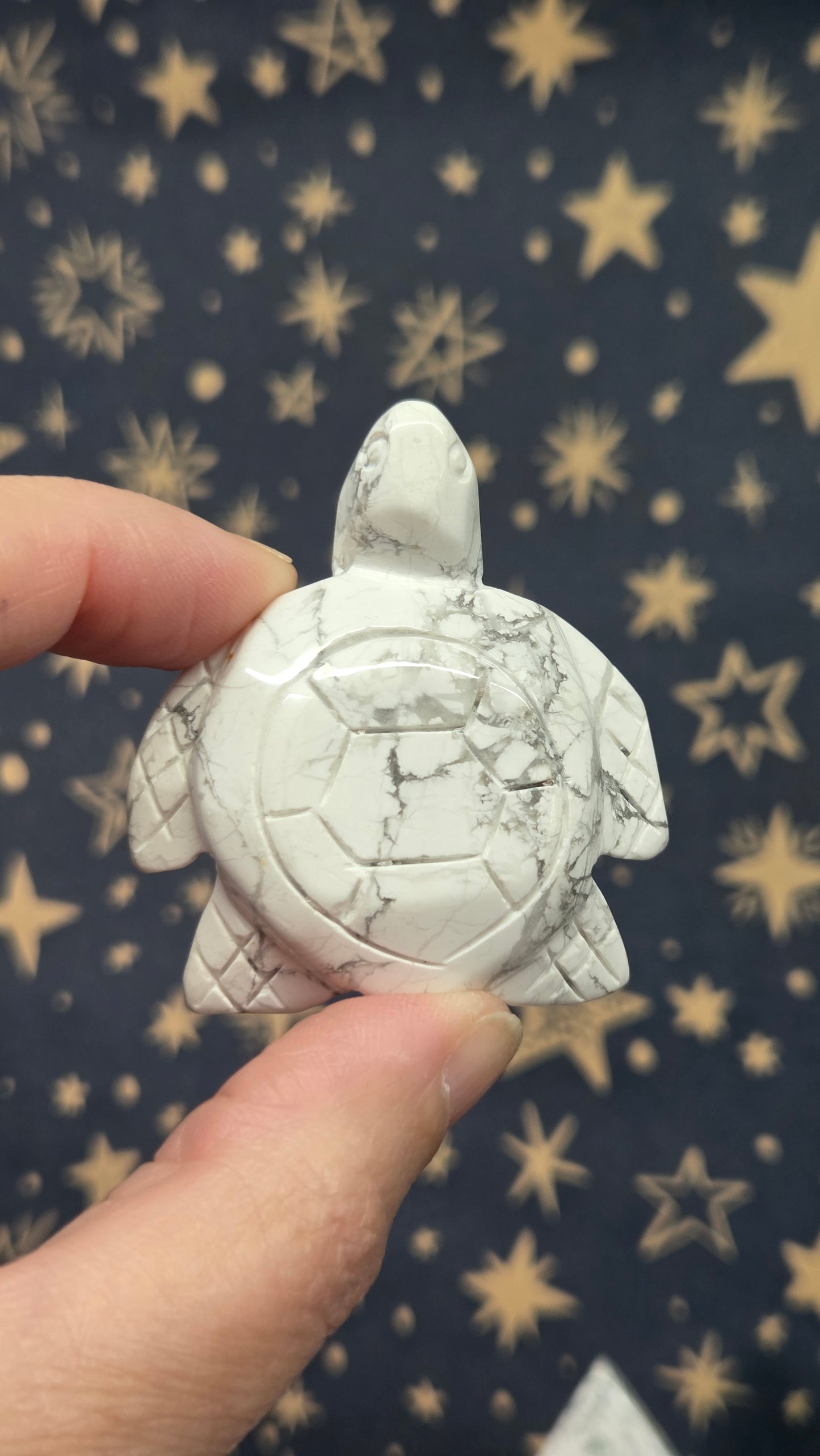 Turtles (Pick your own)
