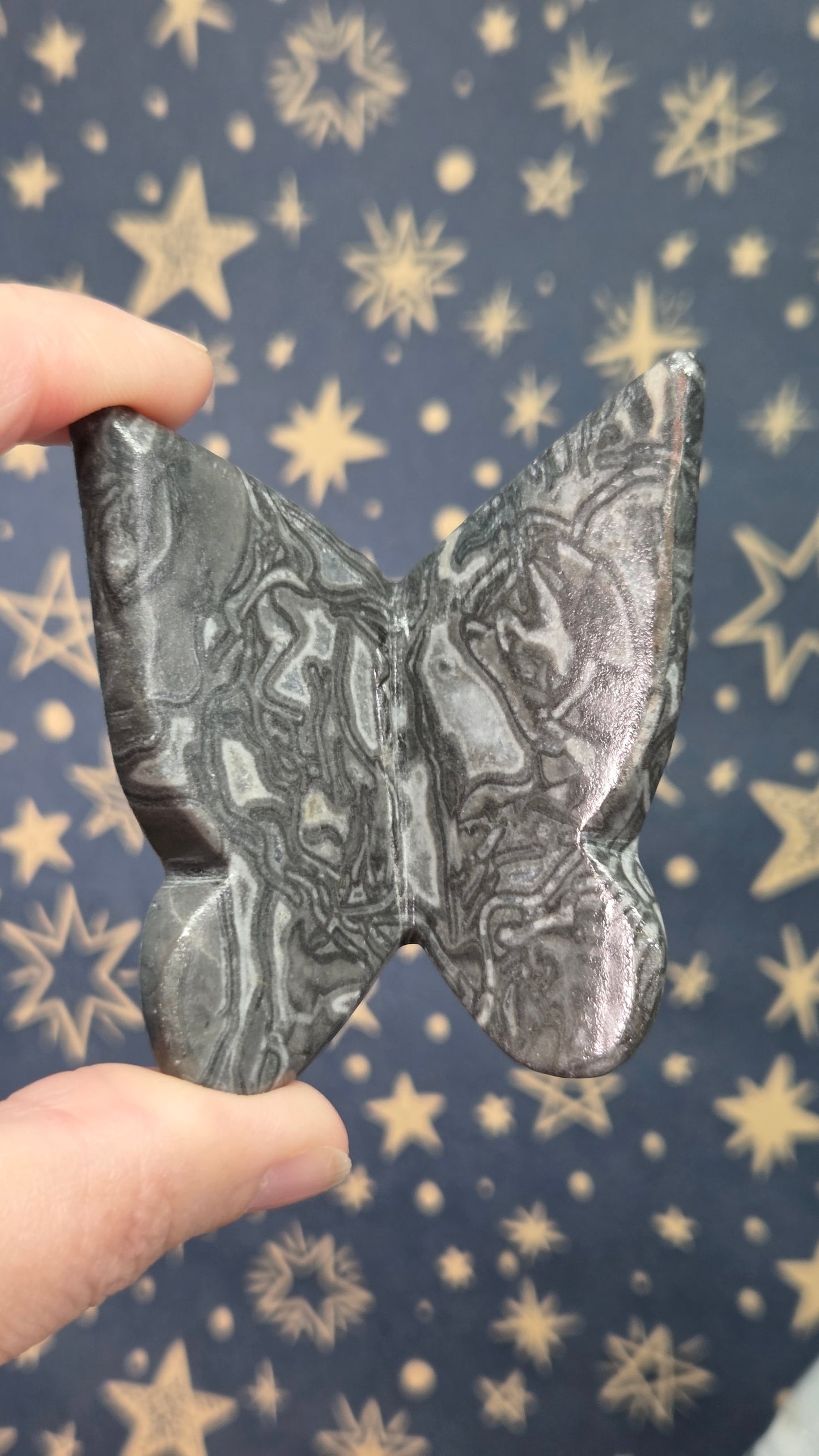 3d Butterflies (Pick your own)